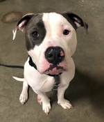 Sunny Lane welcomes all sizes